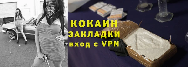стаф Каменногорск