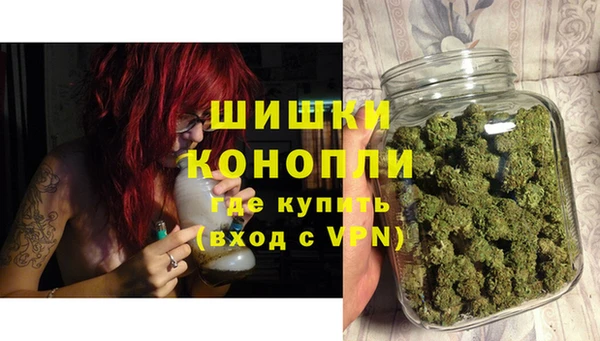 стаф Каменногорск