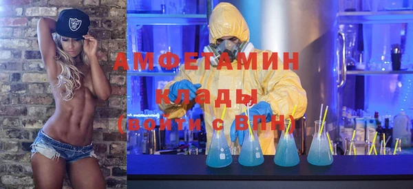 стаф Каменногорск