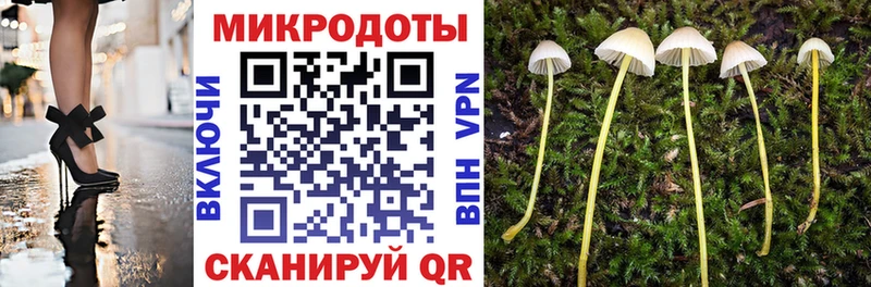 Купить закладки  Майский  Галлюциногенные грибы Psilocybine cubensis 